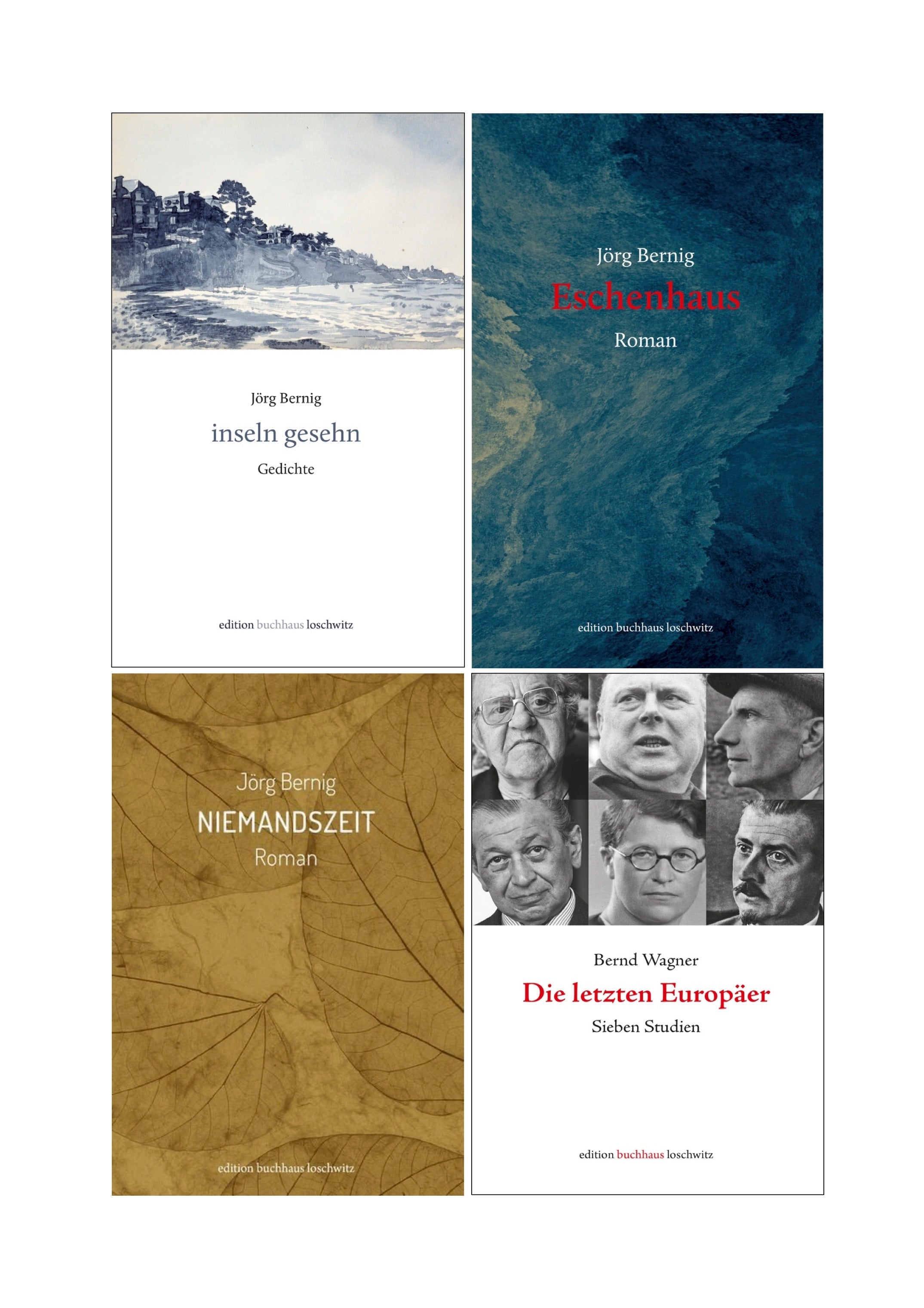 weitere Publikationen